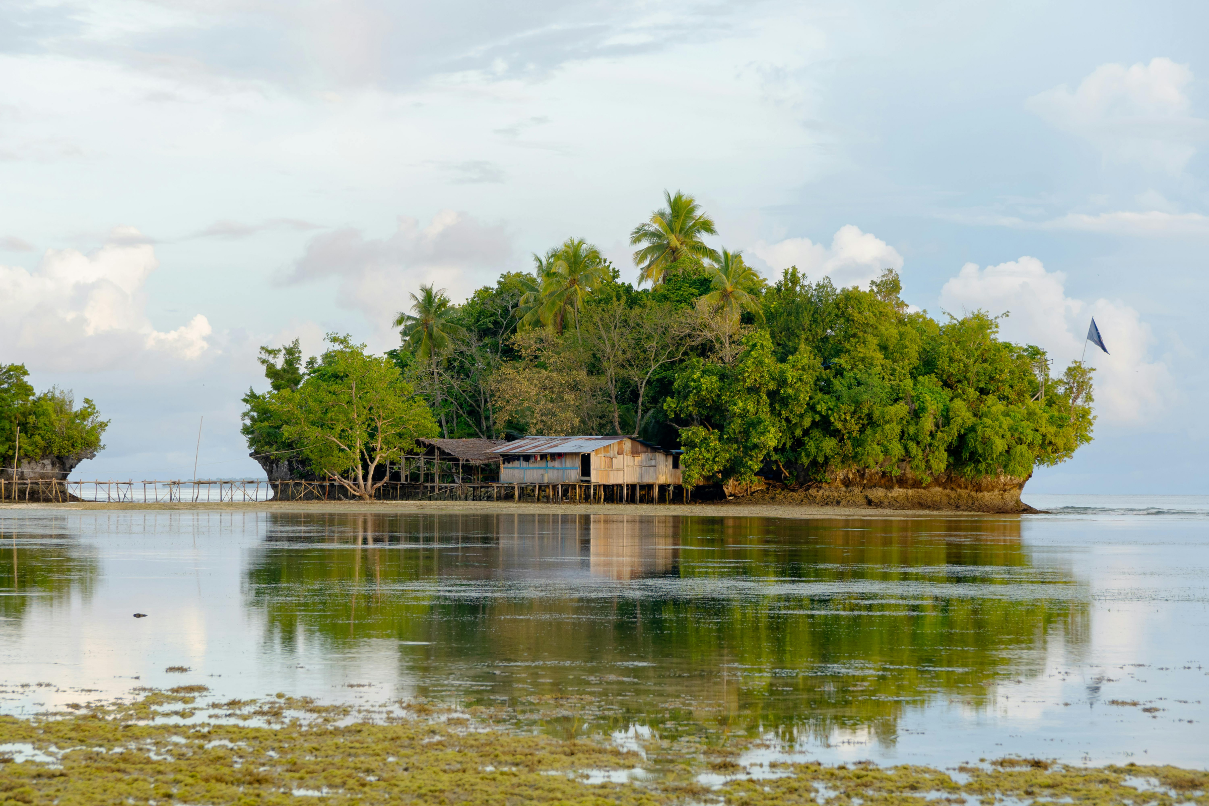 asmat, papua (4).webp
